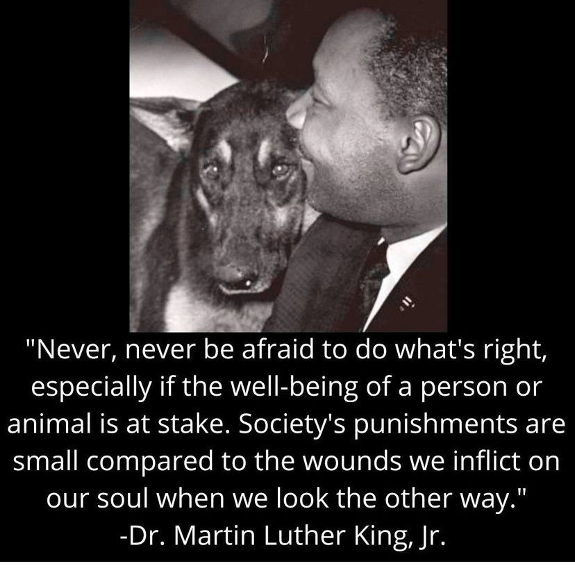 racingforhome's tweet photo. Words to live by-everyday 🧡🧡#MLK https://t.co/jwWopbaZvf