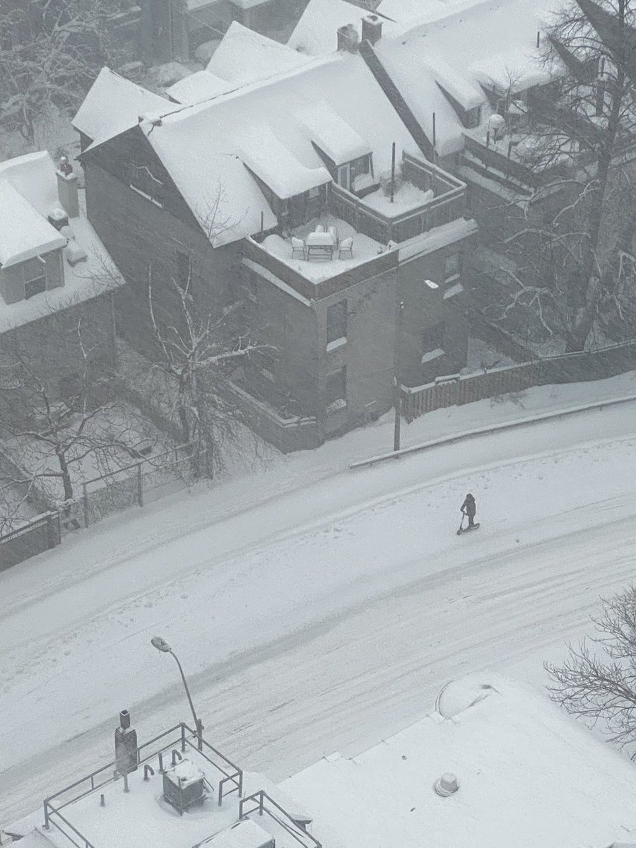 arch_gop's tweet photo. Cars are getting stuck but this person’s sailing through! #snowTO #snowday https://t.co/Eog0LnpCDr