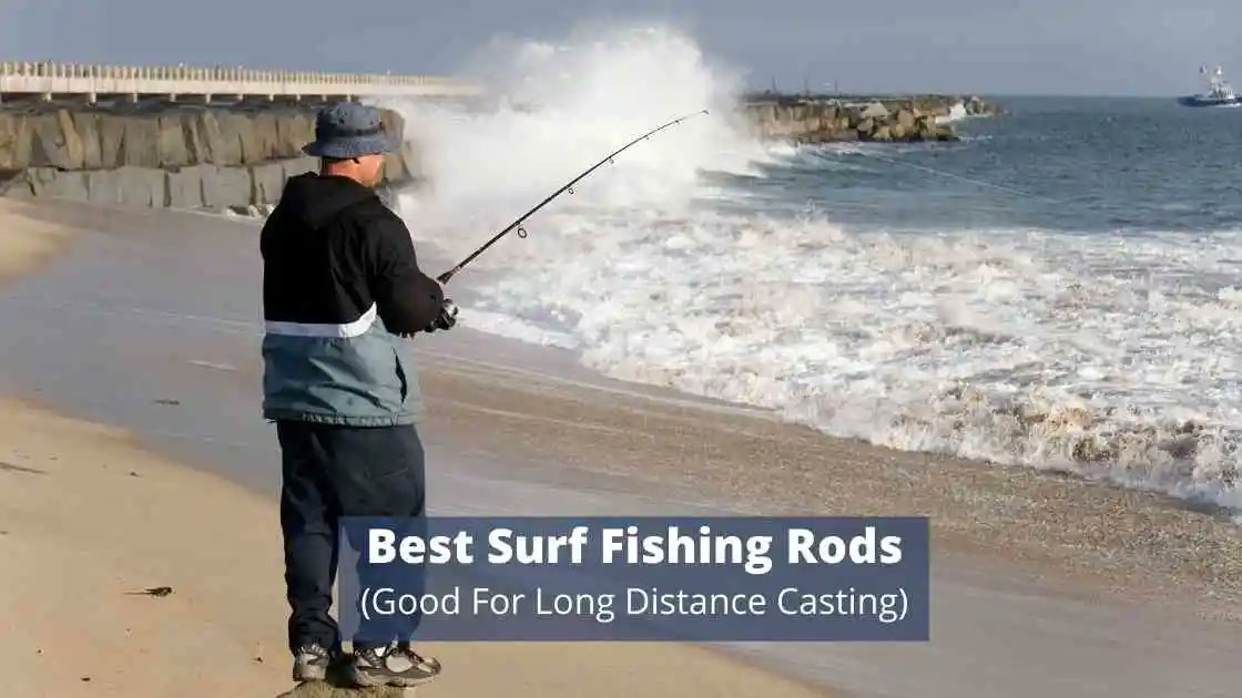Check Out The Best Surf Fishing Rods You Can Buy Today! From Spinning Rods To Casting Rods More You Should Add To Your Fishing Kit.

sensiblefishing.com/best-surf-fish…

#fish #fishinglife #fishingrod