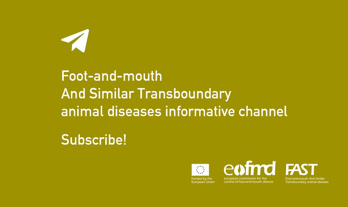 Eufmd's tweet photo. Do you work in the #animalhealth field? 🐮 
Are you interested in keeping up-to-date with #learning experiences, #jobaids, our photo database of FAST diseases, the knowledge bank, and other relevant resources? 

Join our @Telegram channel!
👉 https://t.co/zpuknTzRQ0 https://t.co/IIDaPO09PE