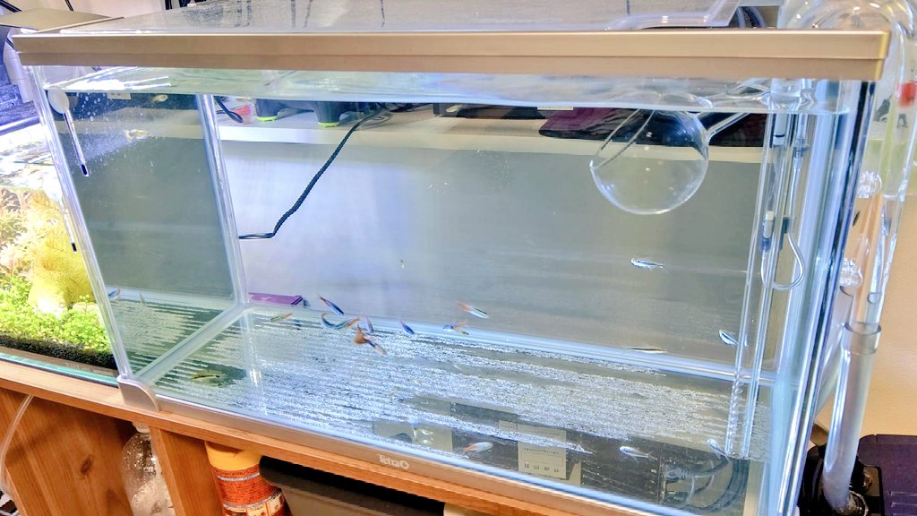 外部フィルター Twitter Search Twitter