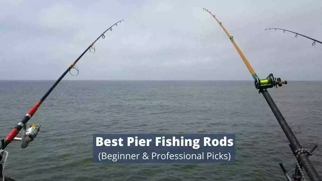 After Deep and Extensive Research of 84 Hours, We've Picked up The List of 5 Best Pier Fishing Rods That Will Make Your Fishing Experience Crazy.

sensiblefishing.com/best-pier-fish…

#pierfishing #FishUponTheSky #fishandchips