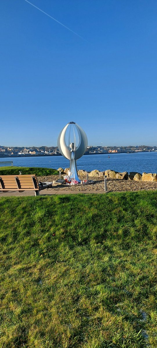 Donna Spratt tweet media