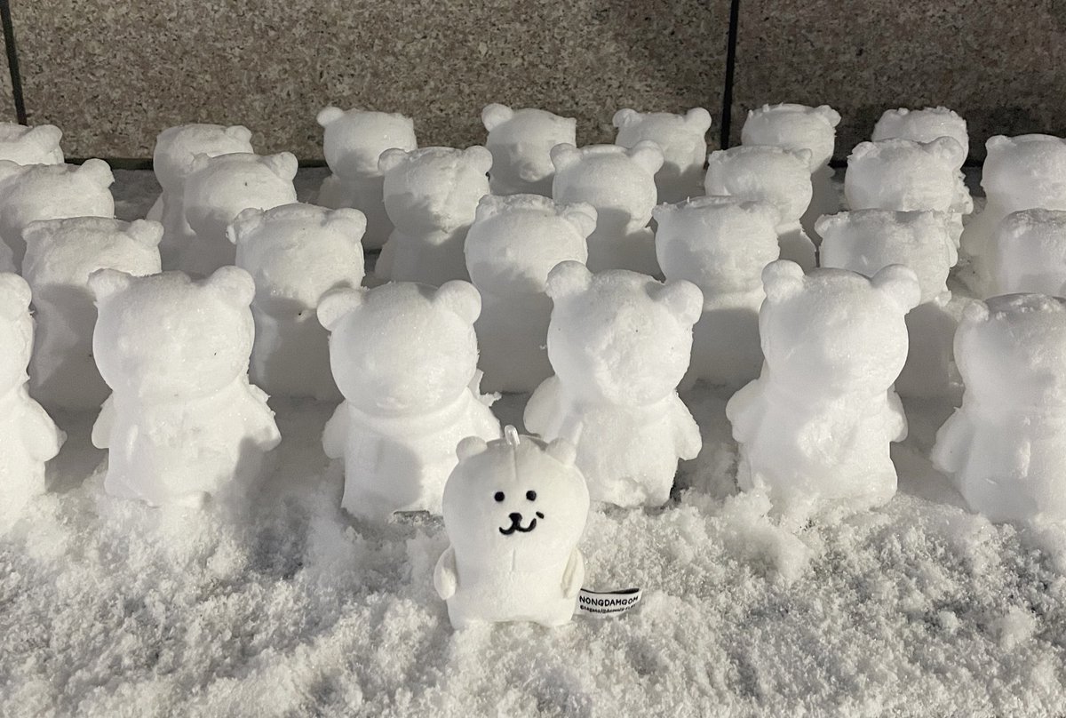 싫으면 니가 떠나 여긴 농담곰의 나라야