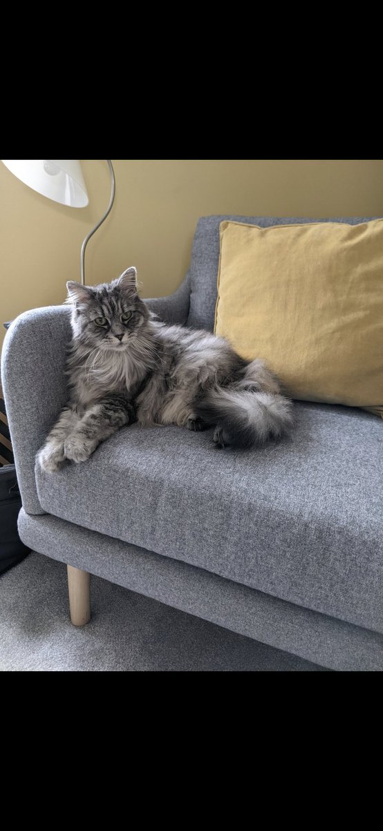 Jennifer Logue tweet media