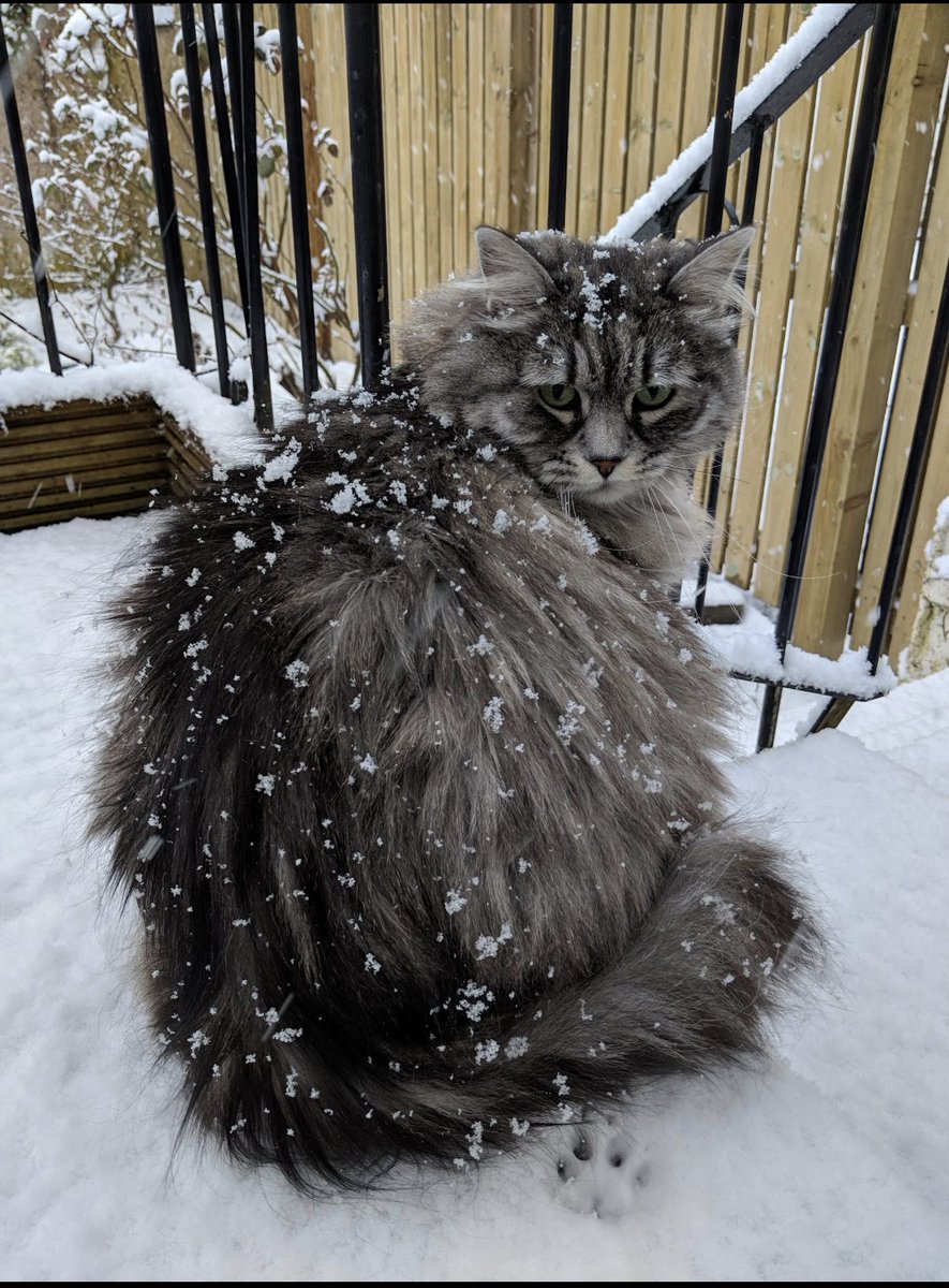 Jennifer Logue tweet media