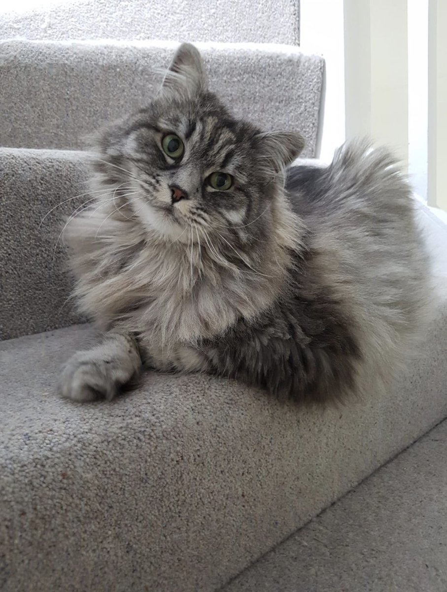 Jennifer Logue tweet media