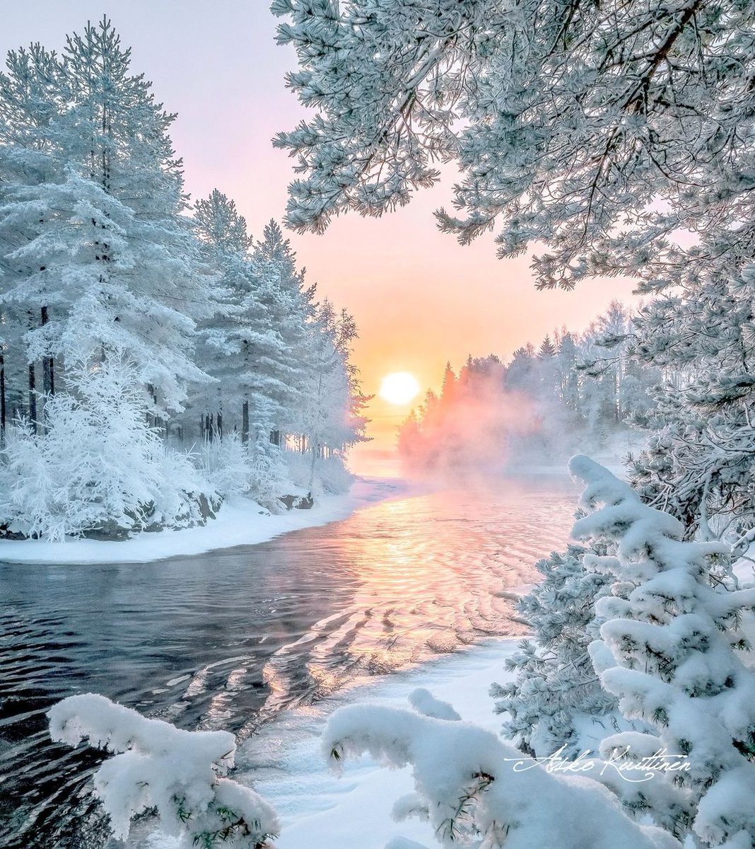 📷© Copyright by Asko Kuittinen Photographer