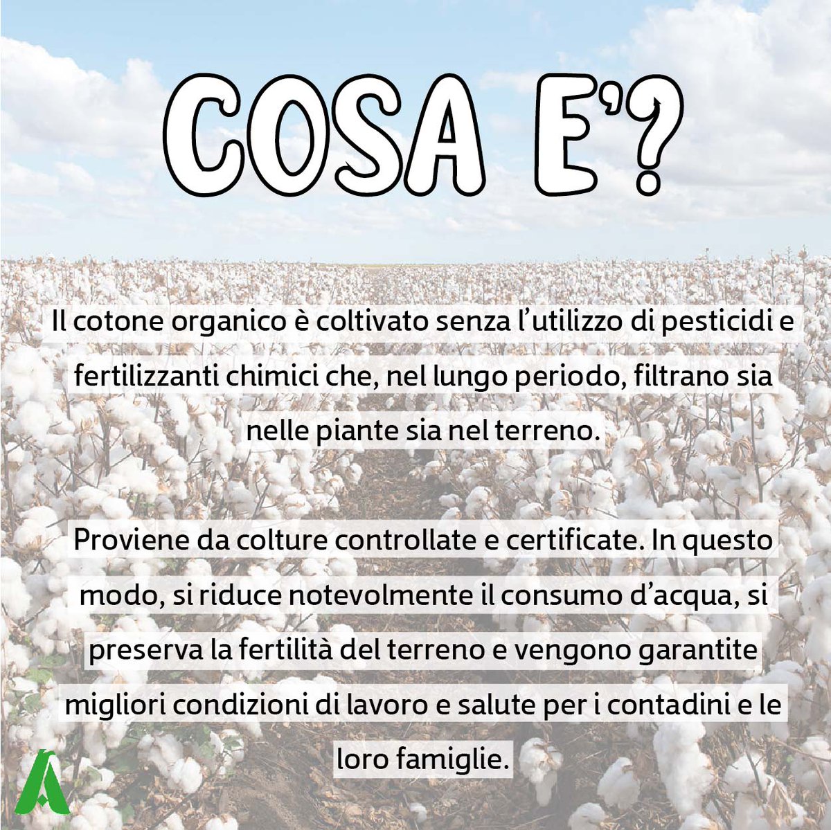 AremTessile's tweet photo. L'abbigliamento in cotone organico col tuo logo aziendale.  Da Arem trovi eco-sostenibilita' e risparmio. Tutto fornito di certificato. https://t.co/mvj4kYSAnw