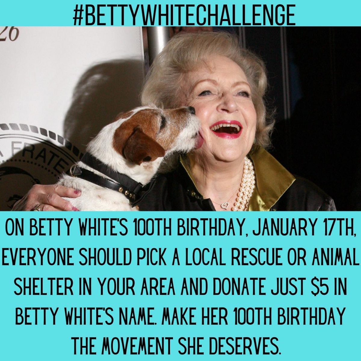 IslandDogOrg's tweet photo. Happy 100th Birthday Betty White!  To honor her memory, please make sure to donate $5.00 to your favorite animal charity/charities.  We've made it easy, just click the link  https://t.co/fV5kIda4Ge https://t.co/OaEpN1Sr1m