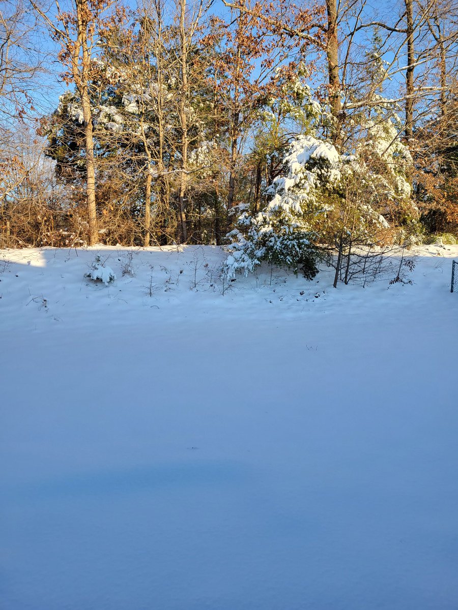 tfoste72's tweet photo. So pretty, but it looks like I'll be in for a couple more days. Fuzzy PJs and hot chocolate on deck!
#SnowDay2022 #Snowpocalypse2022 #iAintGoingNowhere https://t.co/ajRHb4HNNh