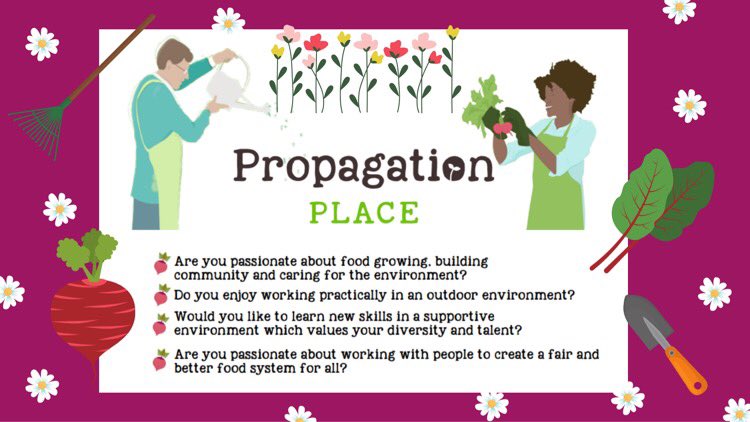 PropPlace's tweet image. We are looking for 3 Propagation Place Project Assistants to join our team in February! Could this be you? Find out more at bit.ly/3nBpOnE 🥬🥕🌽 @swcityfarm @RootsToWork @bristolfooduni @Bristolfoodnet