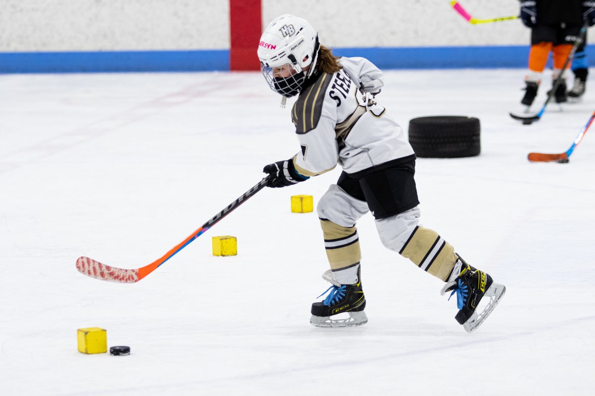 Suburban Ice FH tweet media