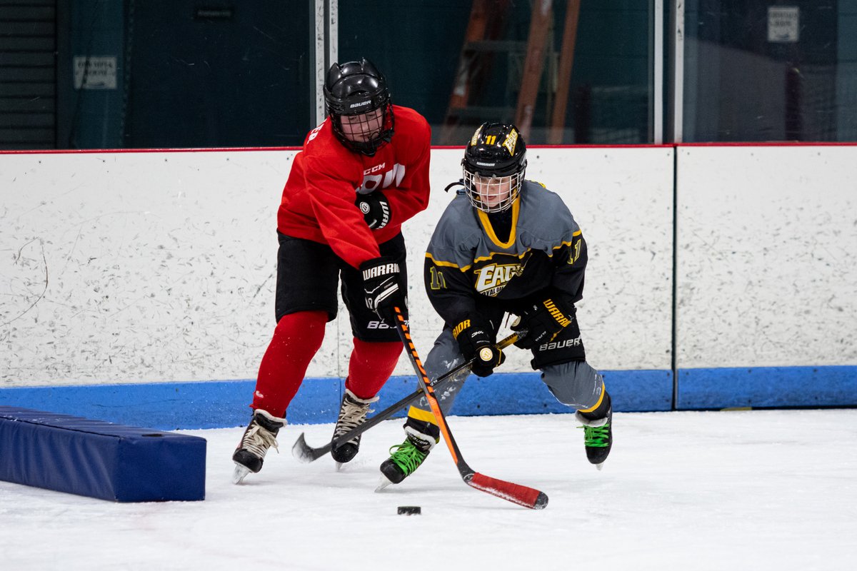 Suburban Ice FH tweet media
