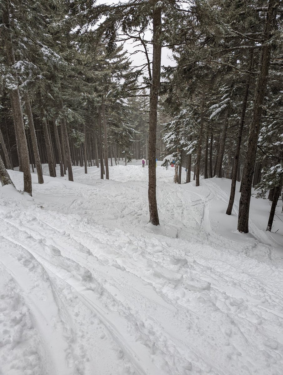 Cphair16's tweet photo. Pow day! @raggedmtnNH https://t.co/TyBP5YP6Up