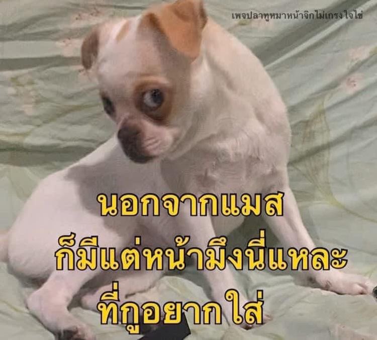 ถึงคณิตศาสตร์