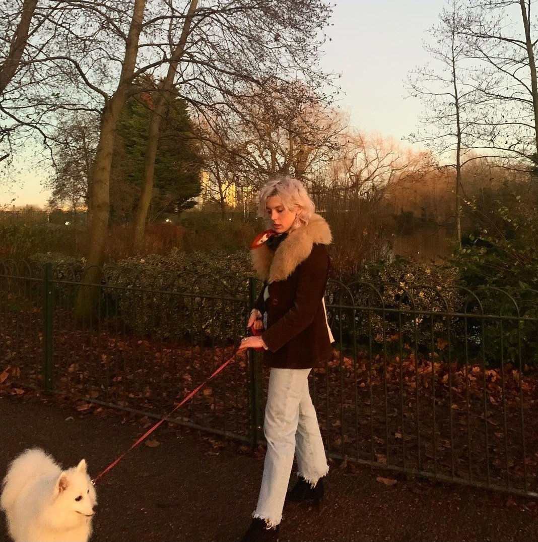 best of wolf alice tweet media