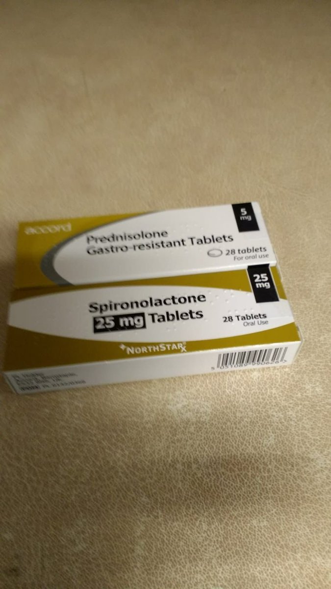 Leyla Hannbeck tweet media