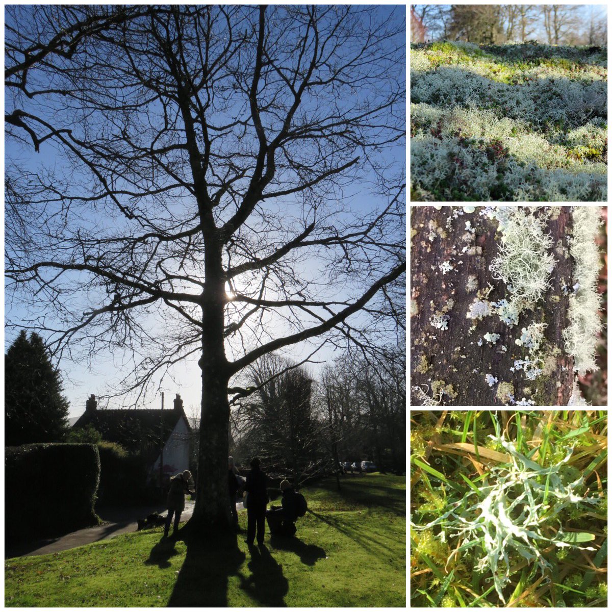 GraniteElements's tweet photo. @GraniteElements day out today, working on our collaborative project on lovely lichens #Dartmoor #lichens #Devonartists https://t.co/3AfVw2gnQ9