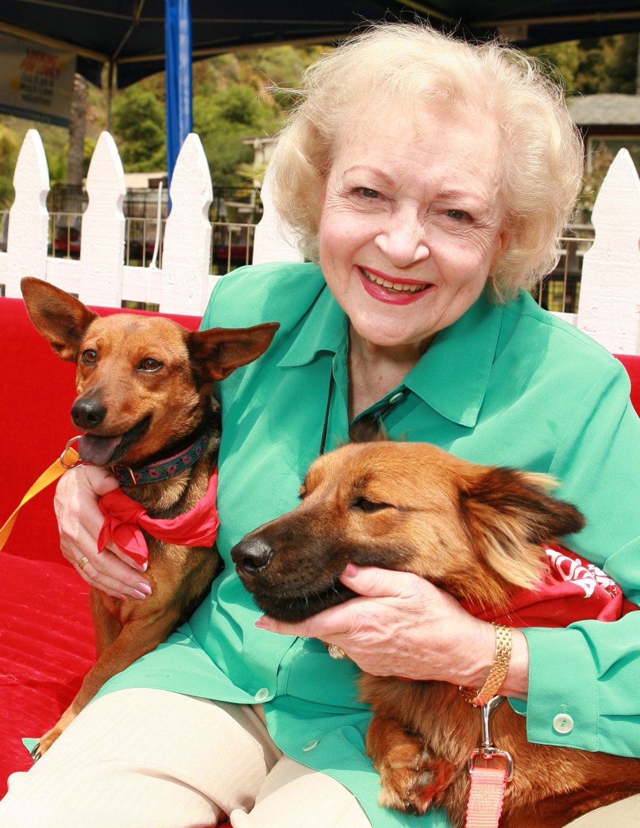 enews's tweet photo. Her legacy lives on. ❤️ All over the country, people are donating in Betty’s name to animal rescues and shelters to honor her memory and commitment to animals. More than $550K has already been raised. #BettyWhiteChallenge 📷: Getty Images) https://t.co/L2phemS4di