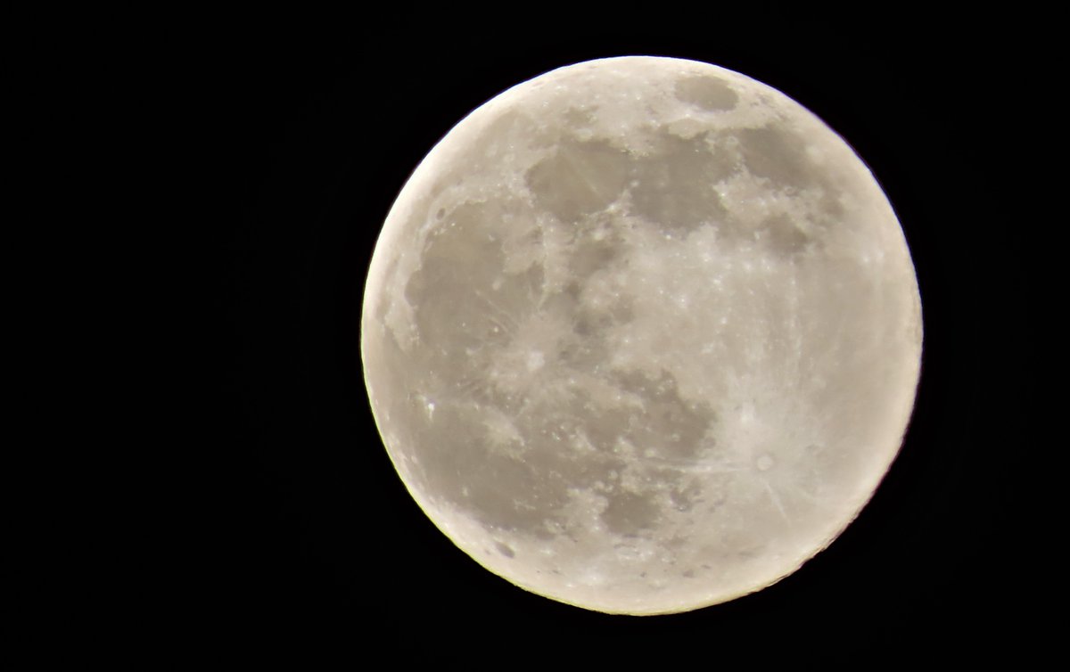 clive mitchell tweet media