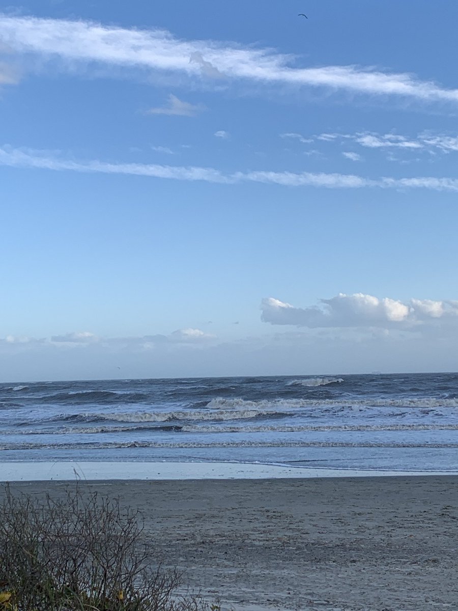 Realtor_CHS's tweet photo. Happy blue skies and cold temps.
#isleofpalms #beachfront #beachhouse #mtpleasant #islandproperties #beachproperties #mtpleasantrealeatate #trudysellscharleston #realtorbydesign #blueskies https://t.co/Axq9ExG1l1