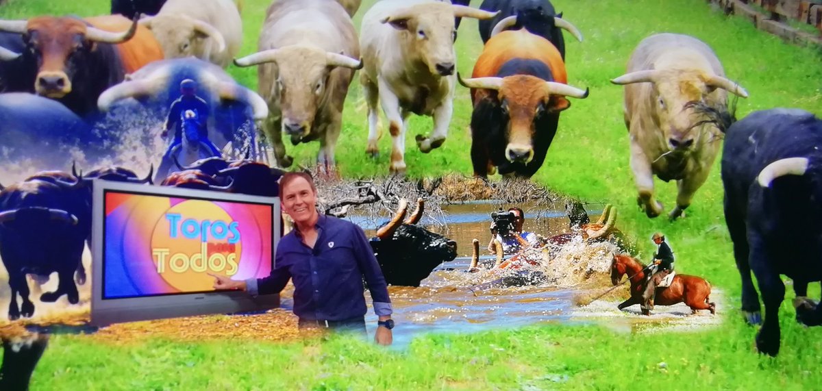 Enrique Romero tweet media