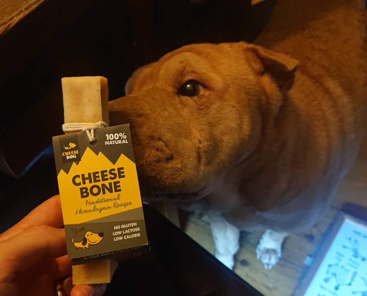 Prune_Dogg's tweet photo. Very pleased with the Cheese Bone I received today 🧀 https://t.co/ynTcW25XZa