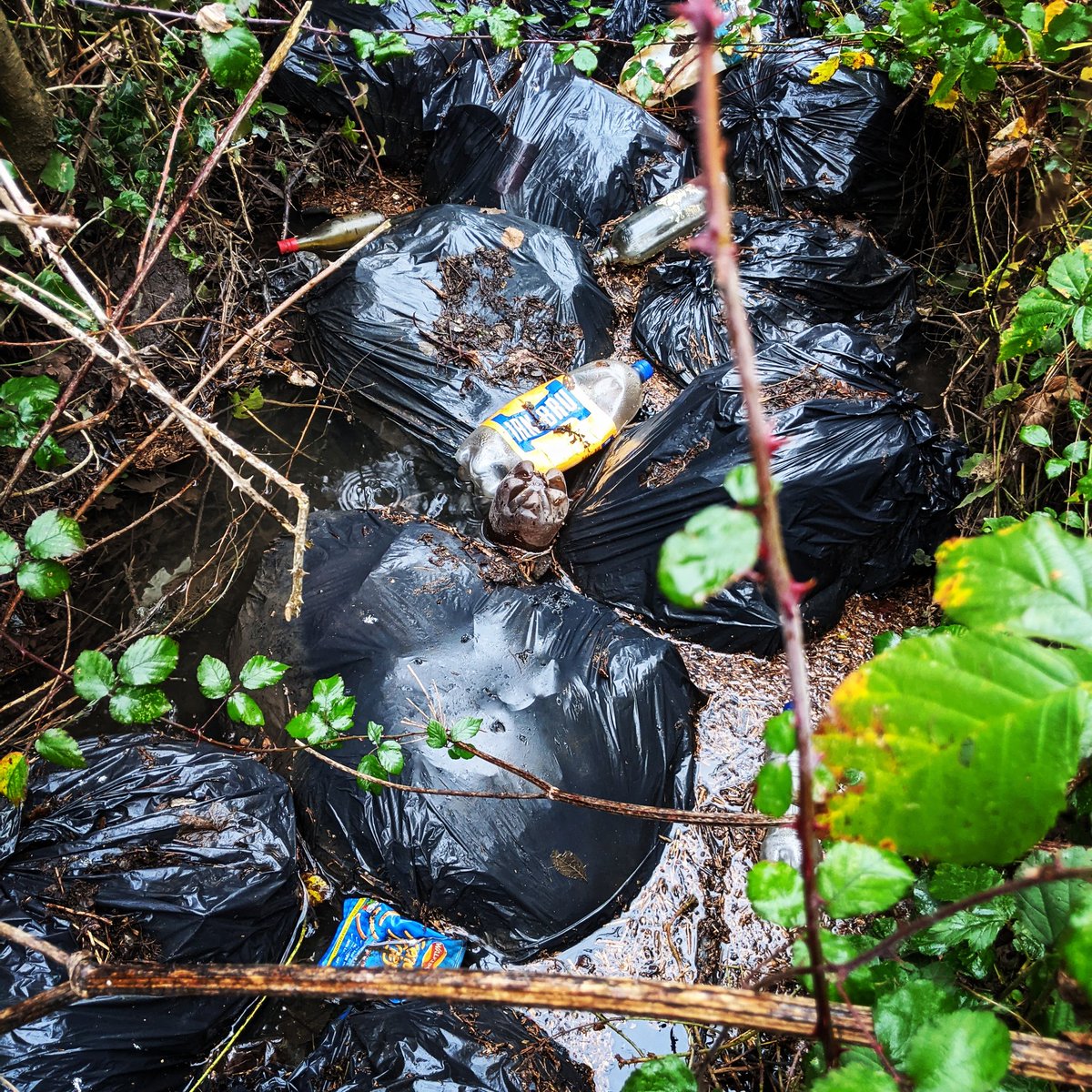 EricTorrington's tweet photo. @aogdennewton @KeepBritainTidy Sadly it's getting worse. 14 bags recovered from a drainage ditch in #Gloucestershire https://t.co/RsFa9x6TNr