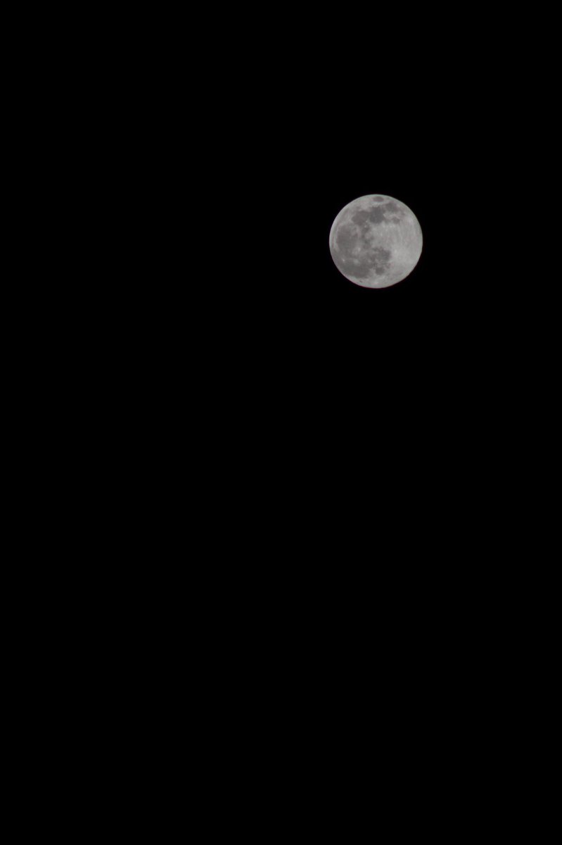 He fet unes fotos sux xules a la lluna 🌕