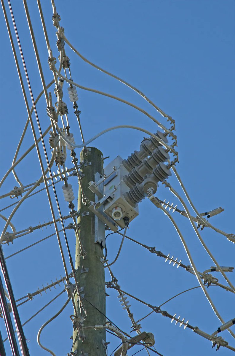 SS_LLC's tweet photo. SSLLC #reclosers can offer greater #reliability & cost efficiency to a #distribution system, with a unique standard design that allows #utilities to employ the automated switch as a #sectionalizer, ganged recloser, or triple single recloser. Discover more: https://t.co/dlZeDKLy7b https://t.co/l3Px63UbJy
