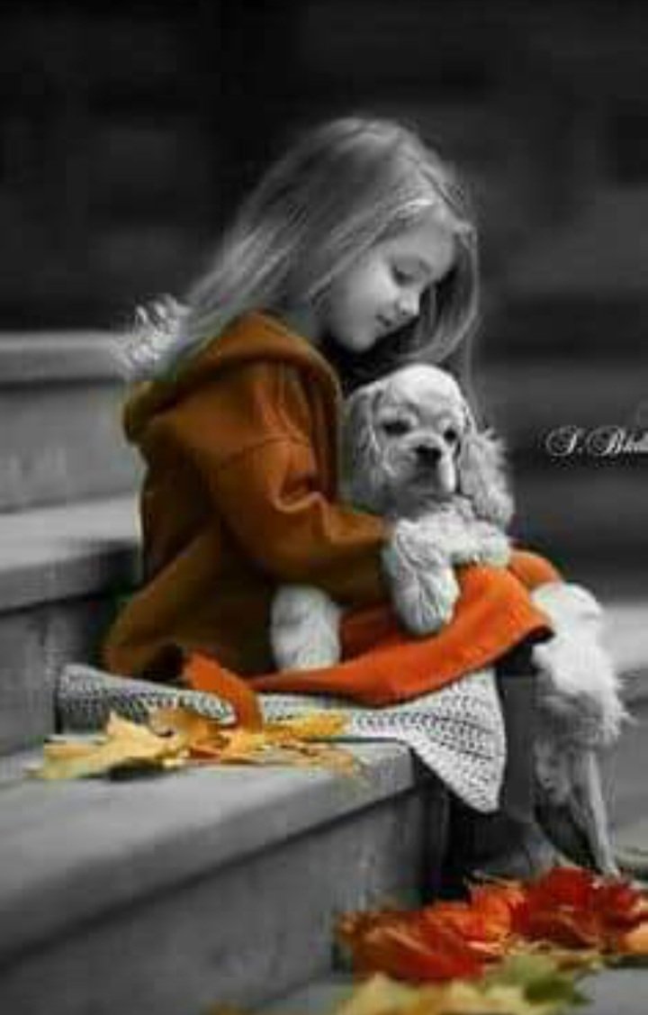okangel27's tweet photo. To love is
nothing.
To be loved is
something.
But to love and
be loved, that's
everything.
#TTolis https://t.co/ptw0iczXUq