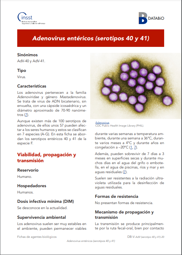 GVAinvassat's tweet photo. ⚠☣ #DATABiO. Noves fitxes actualitzades d' #agentsbiològics de la família de los #Adenovirus, potencialment presents en entorns laborals:

👉 https://t.co/V8IZiI3HKZ 
👉 https://t.co/murjOoKonI

Vía @INSST_MITES_GOB 

#PRL https://t.co/T5M5EX82Zs