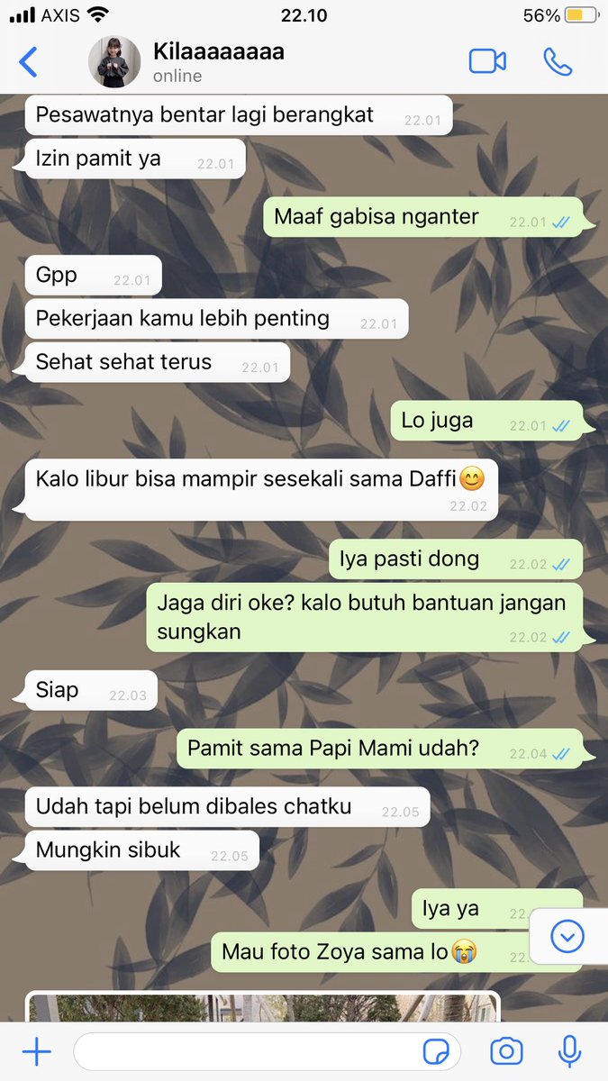 bojak tweet media