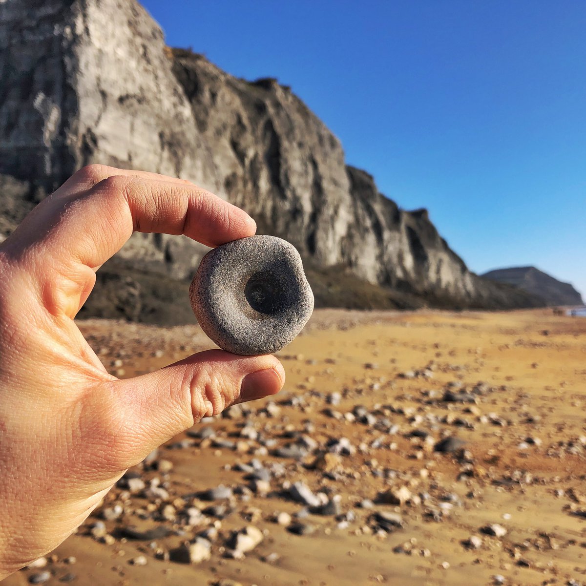 Will Gater tweet media