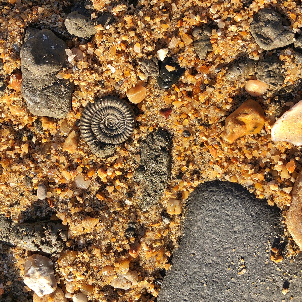 Will Gater tweet media