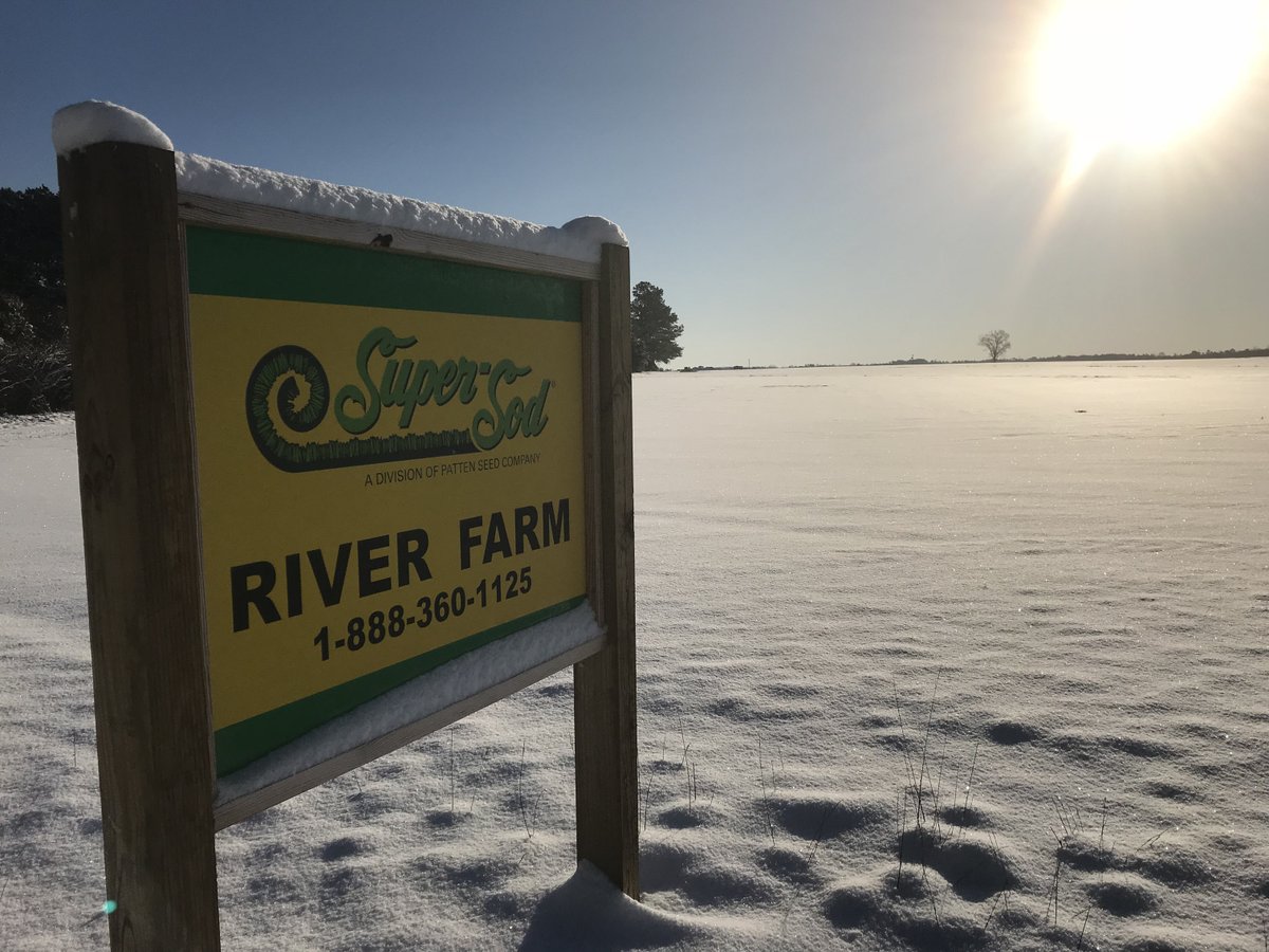 ❄️☃️❄️ Our Super-Sod farms in Manchester and Benton, TN will be closed today. Many of our stores delayed opening until 10 AM this morning. Call 888-360-1125 to find out if your local Super-Sod store is open and how safe the conditions are in the area.
Stay safe out there! ❄️