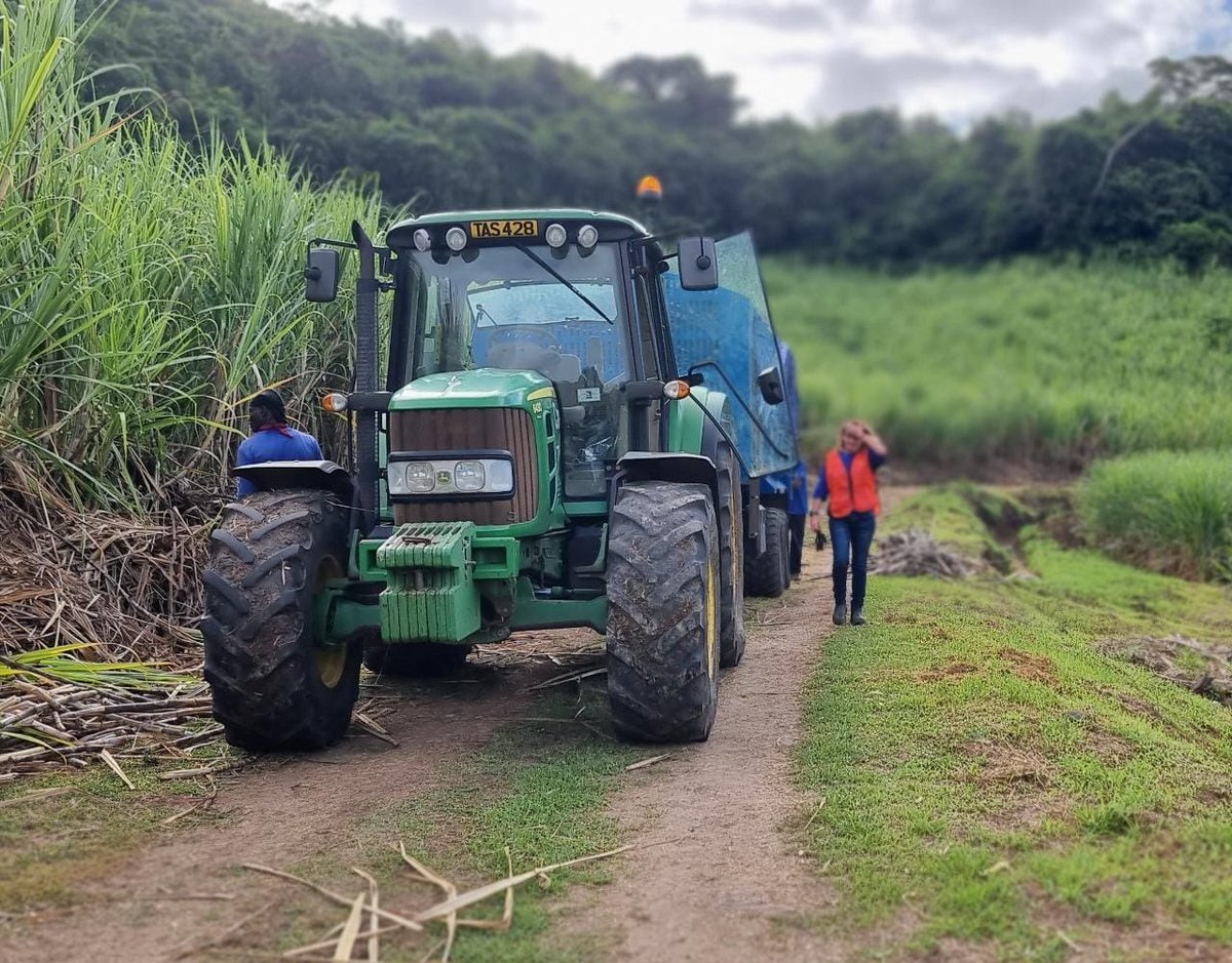 Tractor driver Lucy on the first day of the 2022 cane cutting Season