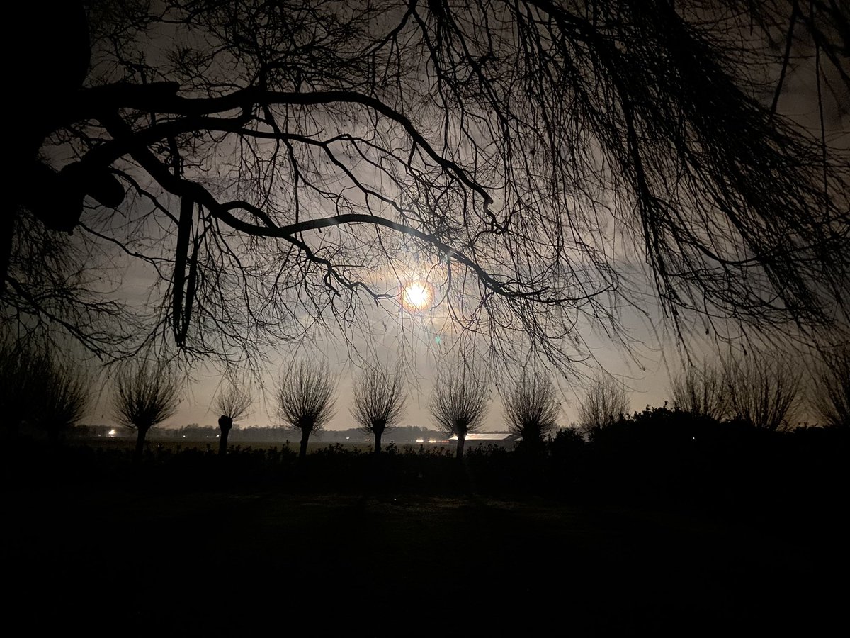 VWaque's tweet image. Blue Moonday✌️ #Blue Monday #fotouiteigentuin