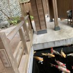 ツイートに含まれる画像