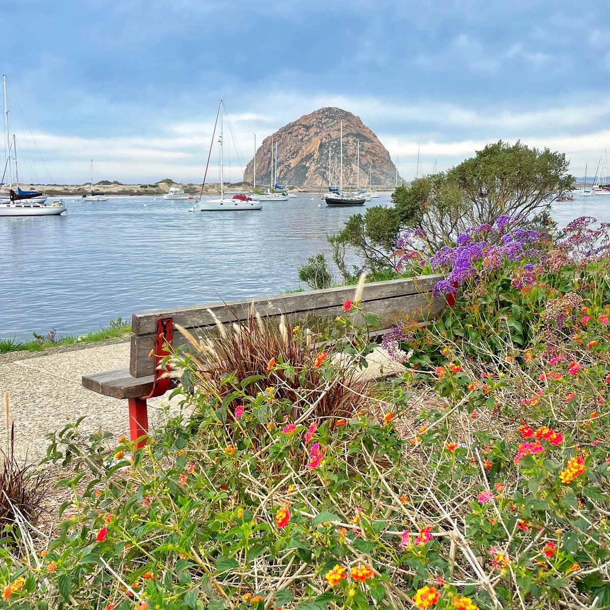 Have a beautiful day. 
#MartinLutherKingDay 
<a href="/CityOfMorroBay/">City of Morro Bay</a> <a href="/morrobaytravel/">Morro Bay, CA</a> <a href="/MorroBayChamber/">Morro Bay Chamber</a> <a href="/MorroBayCA/">Morro Bay</a> <a href="/MorroBaySPs/">Morro Bay State Parks</a> <a href="/CA_CentralCoast/">CentralCoast_CA</a> <a href="/VisitSLOCAL/">Visit SLO CAL©</a> <a href="/SLOTribune/">The Tribune</a> <a href="/slocountyinfo/">slocounty.info</a>