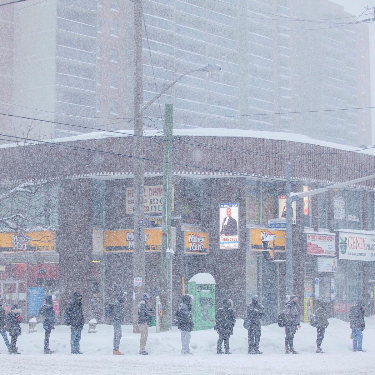 TheGageFletcher's tweet photo. Might wanna bring your snowshoes if you want to make it into work today. #ONStorm #snowday @CBC_TOCommunity @weathernetwork @streetsoftrnto https://t.co/XJKfLt8Mah