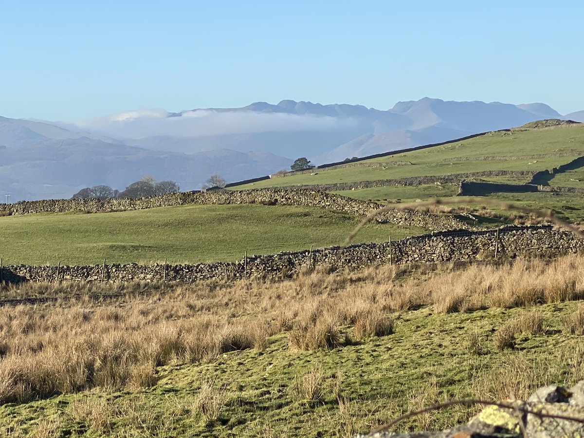 Nick4Paddock's tweet photo. @StephenMoreton3 Get outside to banish the blues. https://t.co/Cn2JvnzCqk