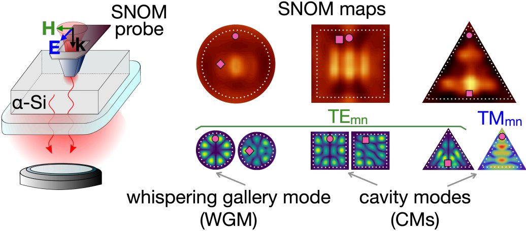 Nanophotonics_J's tweet image. How all sets of subwavelength localized optical modes can be visualized in all-dielectric nanoantennas with a disk, square, and triangle shape?
-&amp;gt; degruyter.com/document/doi/1…
#nanophotonics #nanoantenna #opticalmicroscopy