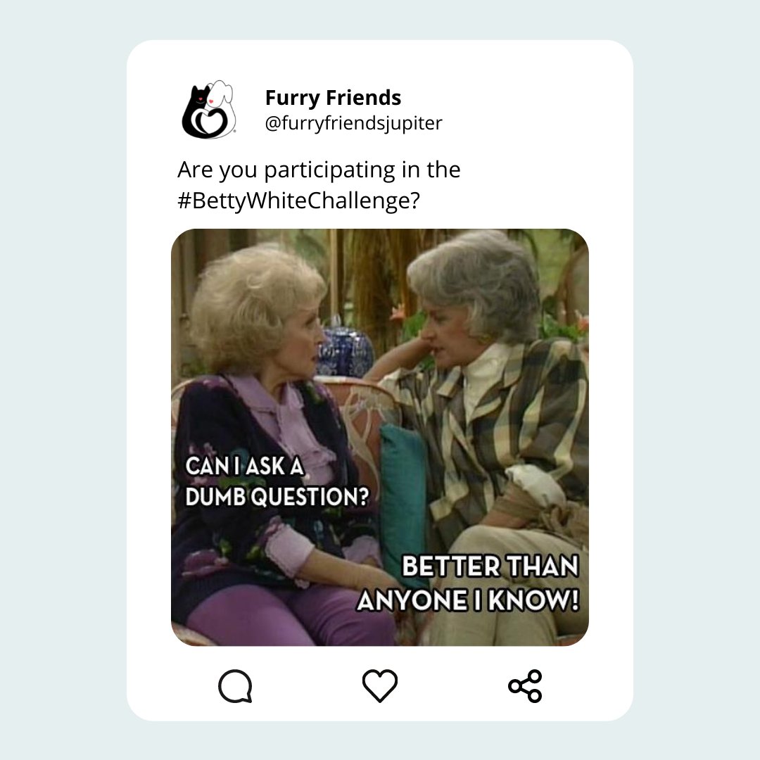 Today, the legendary #BettyWhite would have turned the big 100! People all over are keeping her legacy alive by donating to their favorite animal rescues. Honor her memory today and your gift is DOUBLED thanks to an amazing donor! ibit.ly/Y5Rf
#BettyWhiteChallenge