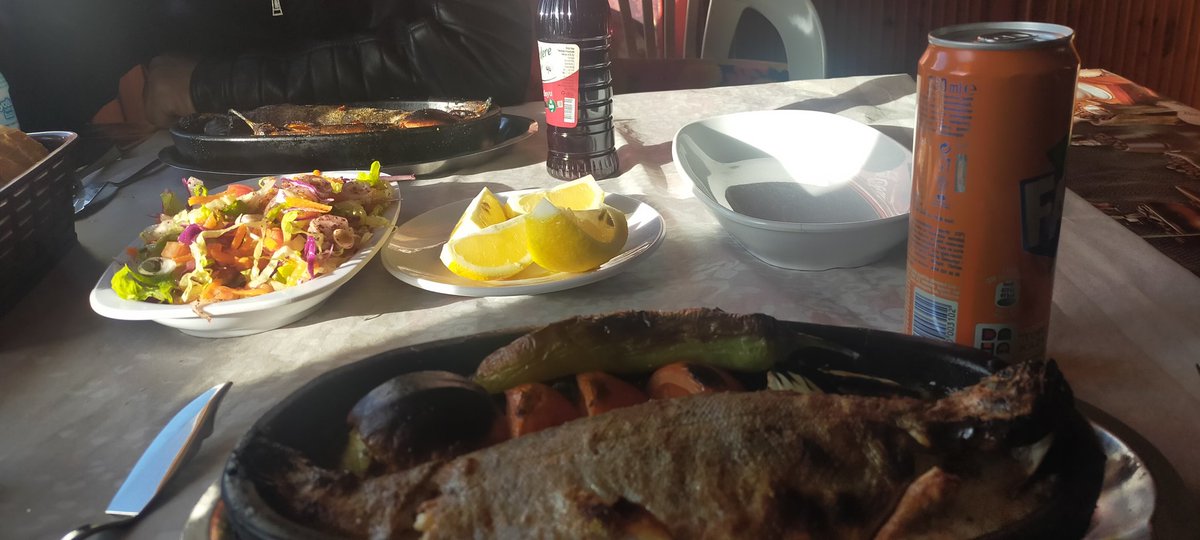 Varmı balık yemek isteyen