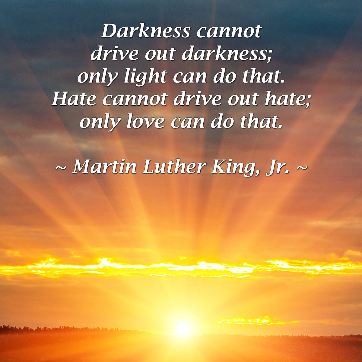BHCF_'s tweet photo. “Darkness cannot drive out darkness; only light can do that. Hate cannot drive out hate; only love can do that.” - Martin Luther King Jr.

Today and always, remember the courage and sacrifice that MLK had. ✊🏻✊🏼✊🏽✊🏾✊🏿

#MartinLutherKing #MLK https://t.co/9LzGIP80aQ