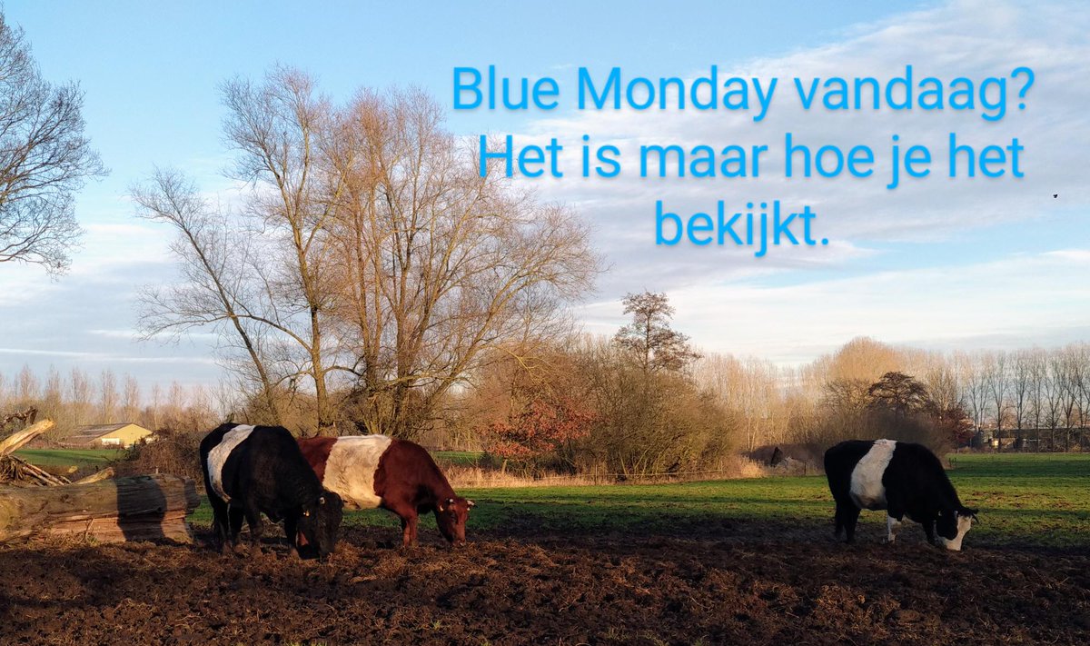 Spring! Stresscoach tweet media