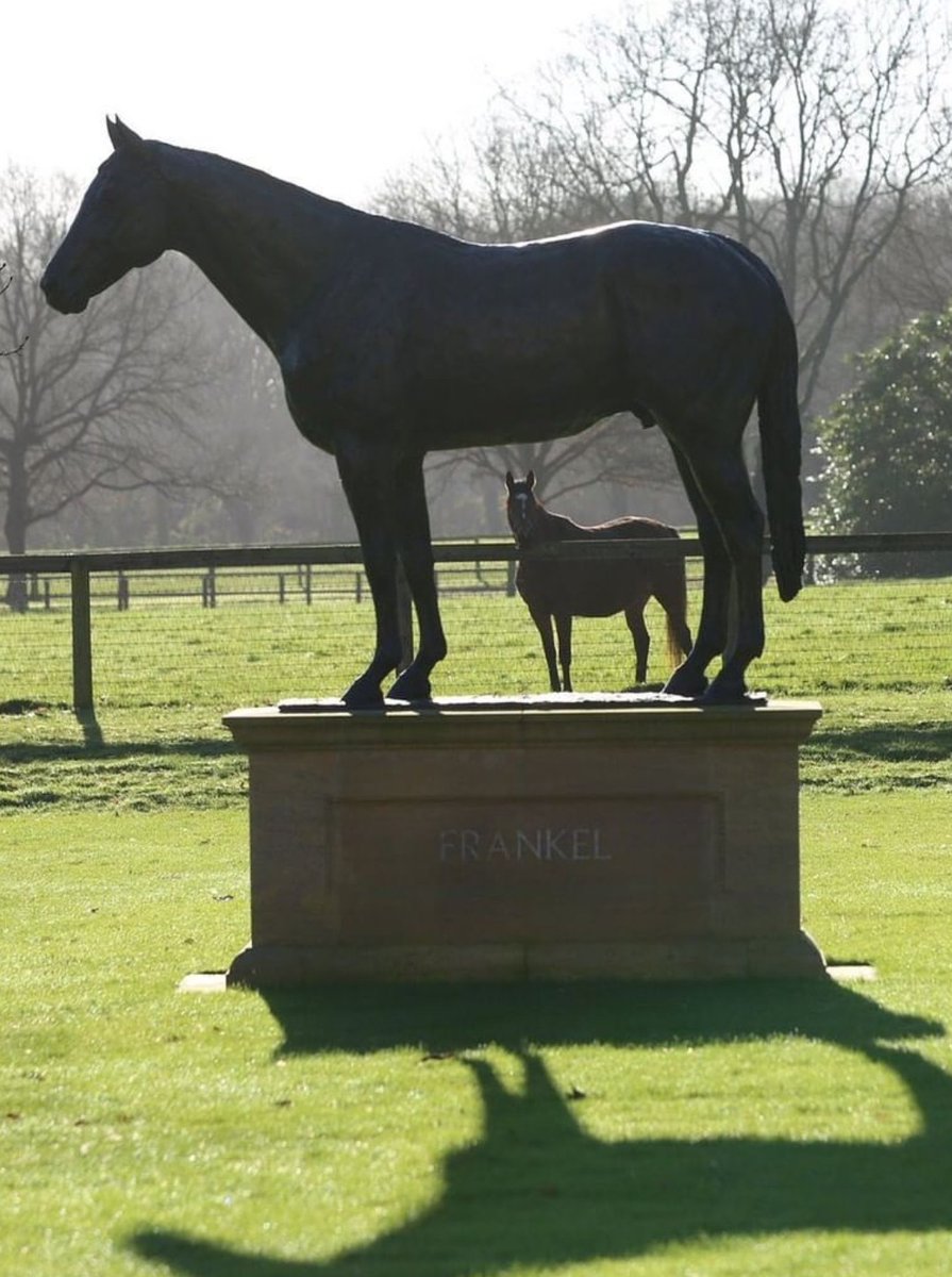 DarrenCHines's tweet photo. The King and Queen #Frankel #Enable https://t.co/iCVr6hwRx9