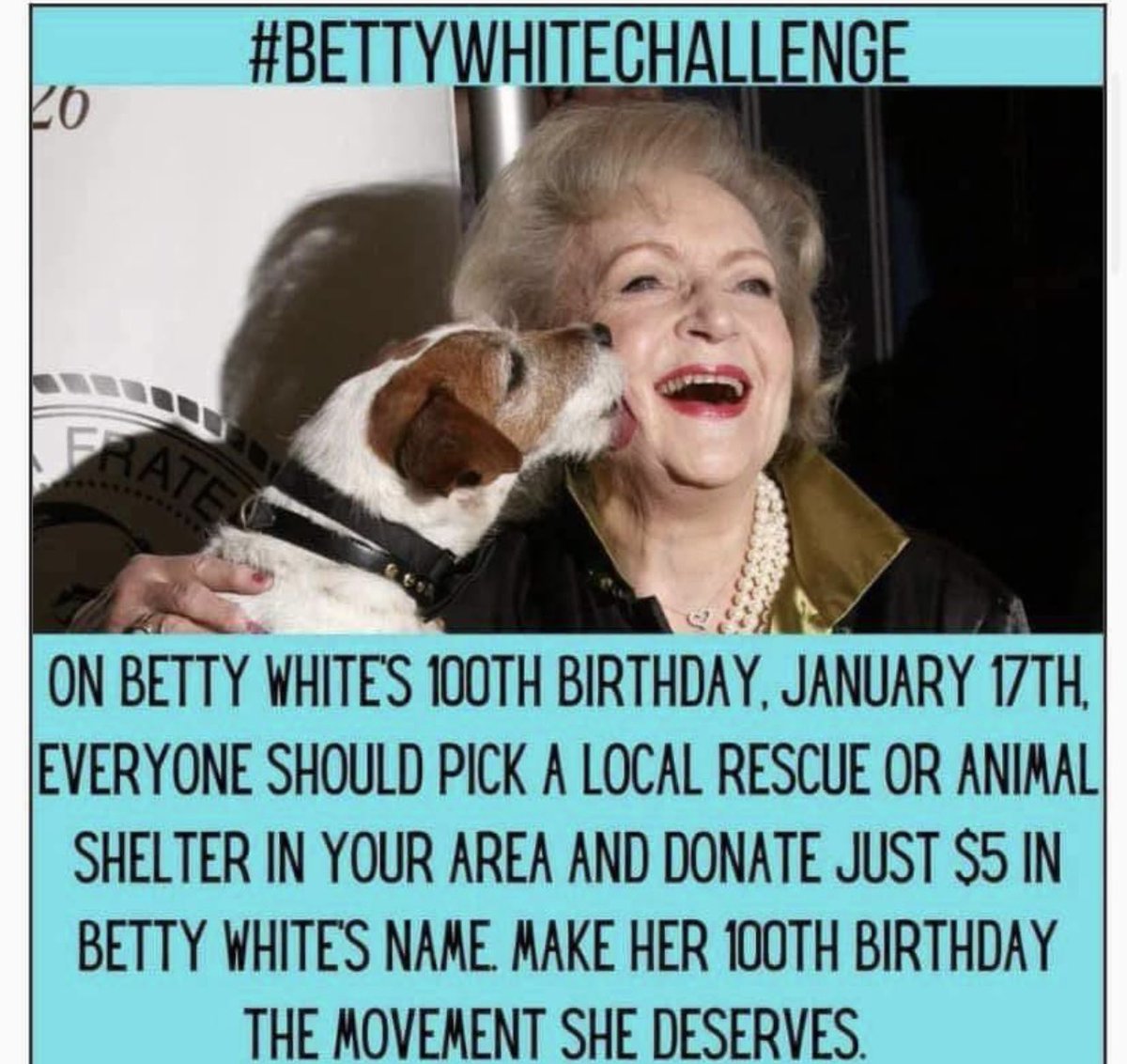 grywolf23's tweet photo. I’m taking the #BettyWhiteChallenge today…are u?
#AdoptAHusky https://t.co/QWpHjY7YSe